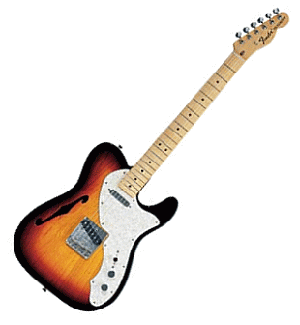 Telecaster Hollow Body
