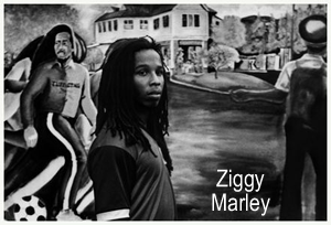 Ziggy Marley